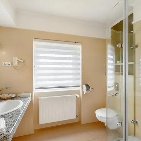 Aranyhomok Business City-wellness-hotel