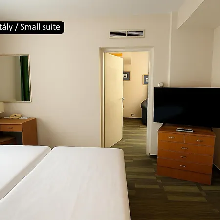 Hotel Aranyhomok Hotel Business & Relax