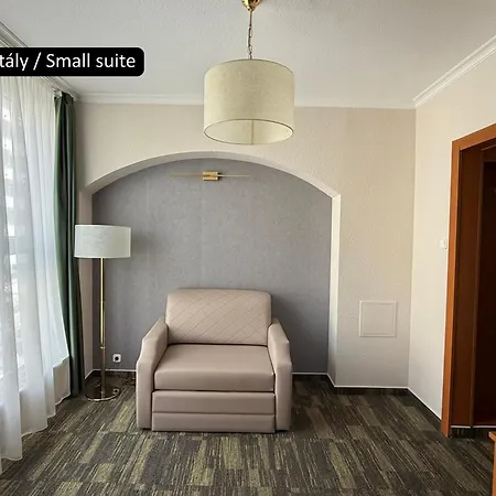 Aranyhomok Business & Relax 4* ケチケメート