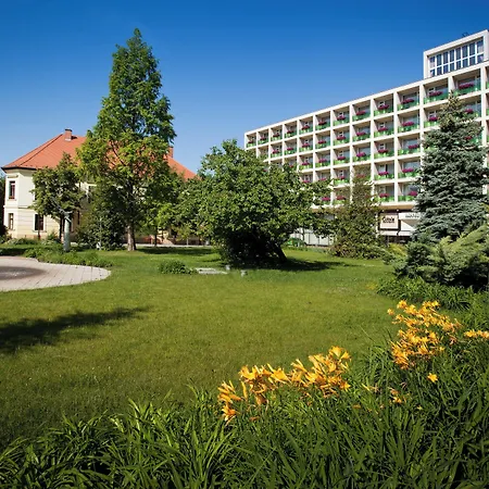 Aranyhomok Business & Relax Hotel Kecskemét