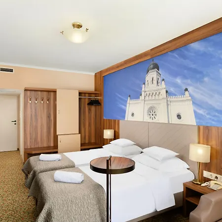 Hotel Aranyhomok Business & Relax Kecskemét