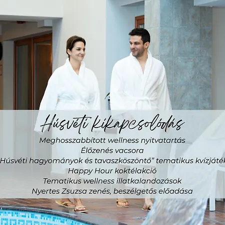 호텔 Aranyhomok Business & Relax 케치케메트