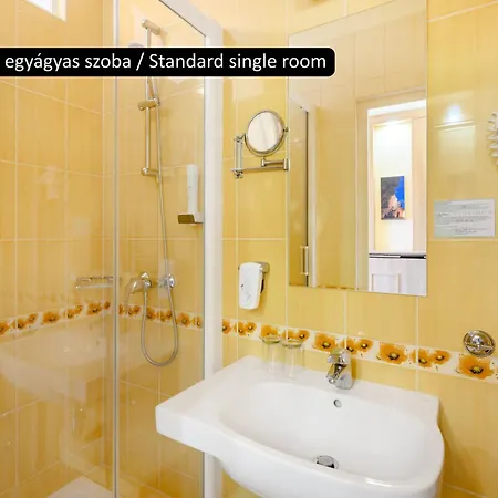 Aranyhomok Business & Relax Hotel Kecskemét