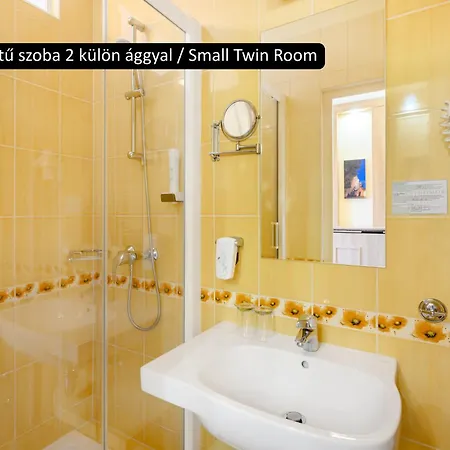 Aranyhomok Business & Relax 4* Kecskemét