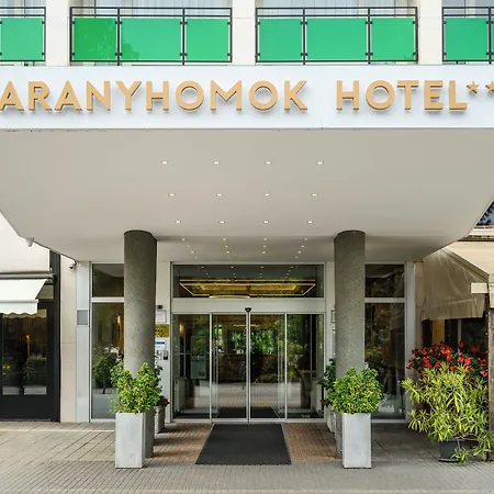 Hotel Aranyhomok Business & Relax 4*