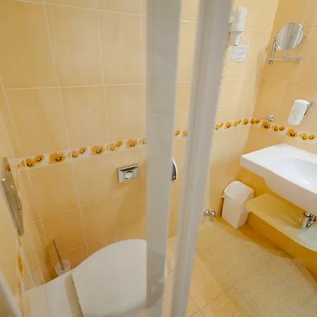 Aranyhomok Business City-wellness-hotel